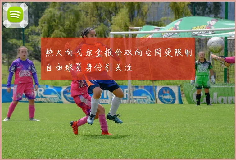 热火向戈尔金报价双向合同受限制自由球员身份引关注